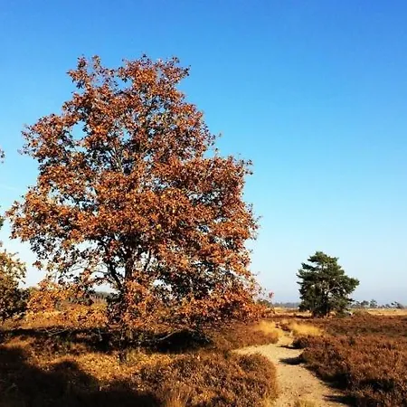 Parkzicht Met Zwembad & Sauna | 6 Personen Vila