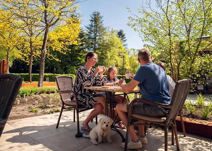 Vila Parkzicht Met Zwembad & Sauna | 6 Personen