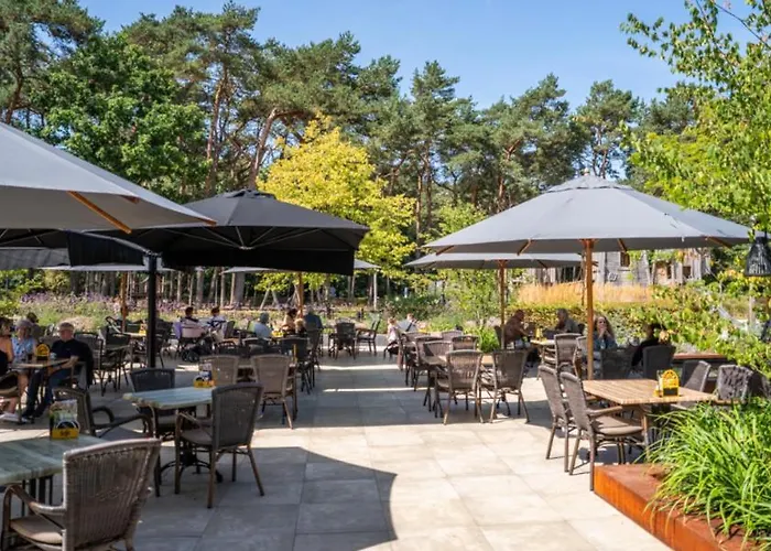 Vila Parkzicht Met Zwembad & Sauna | 6 Personen